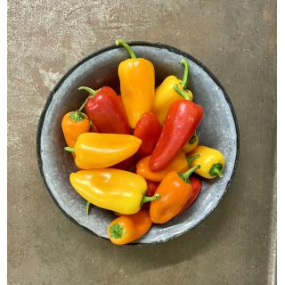 Mini Paprika Mix Süss