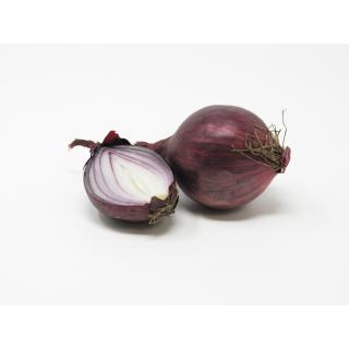 Zwiebeln rot