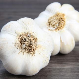 Knoblauch trocken