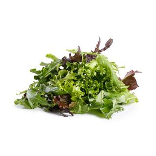 Pflücksalat lose