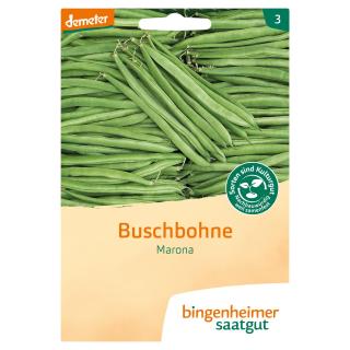 Buschbohnen Marona - Saatgut