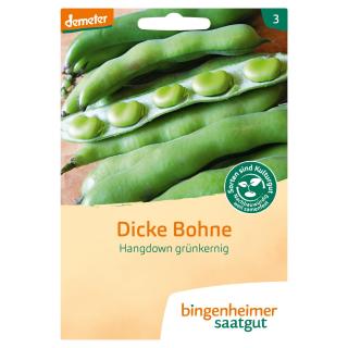 Dicke Bohne Hangdown - Saatgut