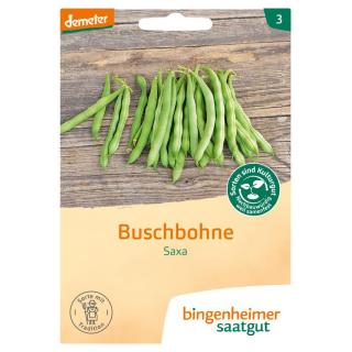 Buschbohne grün