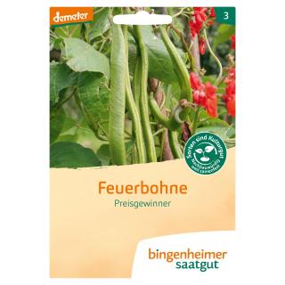 Bohne, Feuerbohne - Saatgut