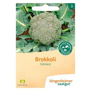 Brokkoli Calinaro - Saatgut