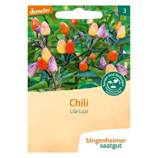 D-Chili Lila Luzi