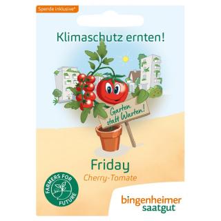 Fridays for Future Klimatomate Philamina