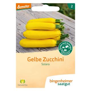 Gelbe Zucchini Solara - Saatgut