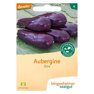 Aubergine Zora - Saatgut