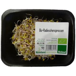 Radieschensprossen samenfest (100 g)