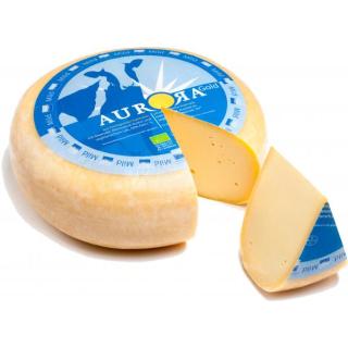 Gouda jung **