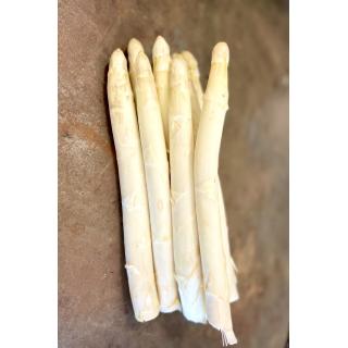 Spargel weiß Klasse 1 (dicker)