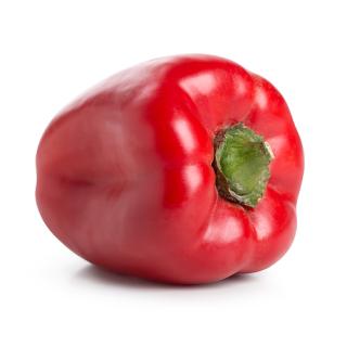 Paprika rot