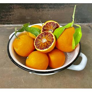 Blutorangen aus Sizilien