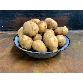 Belana (festkochende Kartoffeln)
