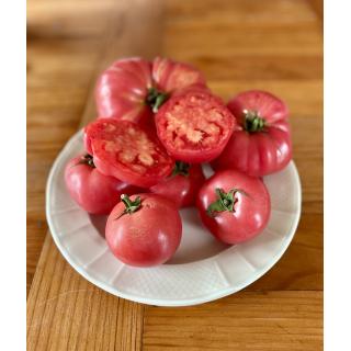 Fleischtomaten