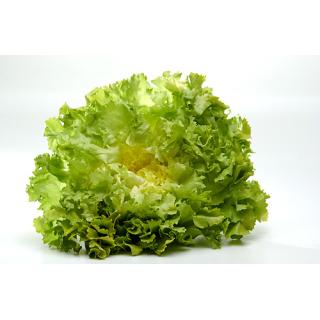 Endivien Salat (groß)
