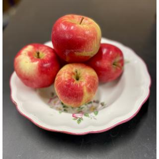 Apfel Deljonka (spritzig, säuerlich, knackig)