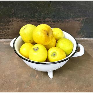 Apfel Opal (goldgelb, süß, knackig)