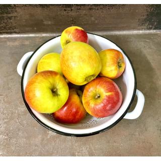 Apfel Elstar (fein säuerlich, fruchtig, rotbackig)