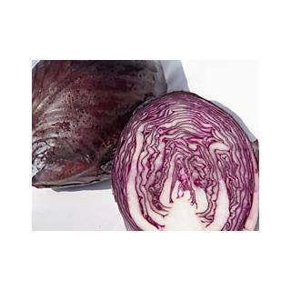 Rotkohl Kopf