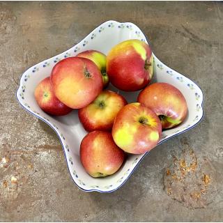 Apfel Freya (süß, knackig)