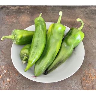 Spitzpaprika grün/gelb/orange