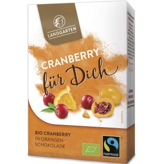 Cranberry in Orangen-Schokolade