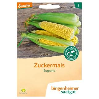 Zuckermais Sugrano - Saatgut