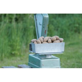 Gunda - mehlig kochende Kartoffeln (neue Ernte)