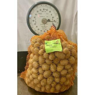 12,5 kg Sack Ditta Speisekartoffel - festkochend (Salatkartoffel)