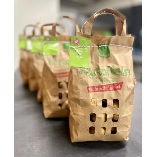 2,5 Kg Kartoffel Ditta (festkochend)